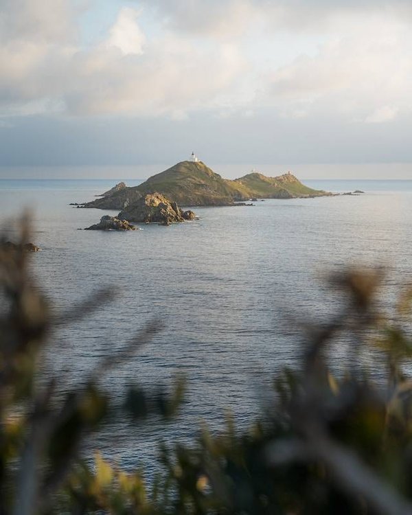 Exploration du concept « Camping Calvi »